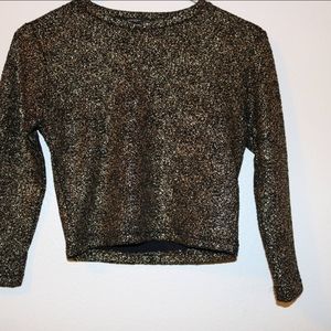 New Forever 21 Metallic Crop Top